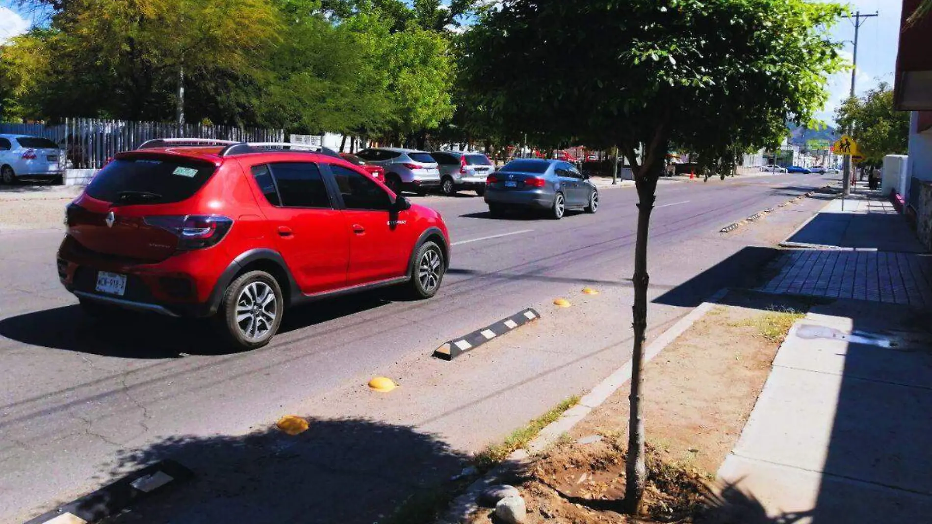 Rompe el contrato y planta un árbol